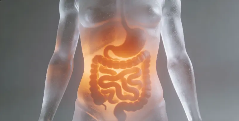 长春胃癌靶向用药39基因检测及PDL122C3表达检测套餐（组织）图片1